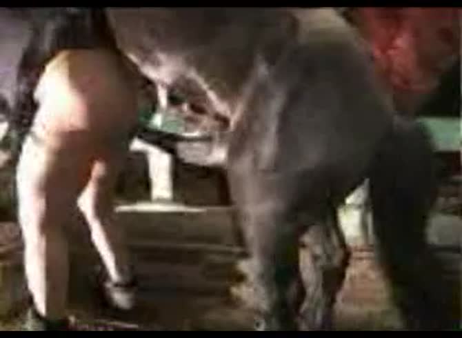 Video :Horse dick fucking the anus of gay beastie gal